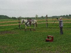 IMG_1664