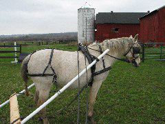 IMG_1605.JPG