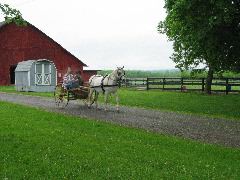 IMG_1659