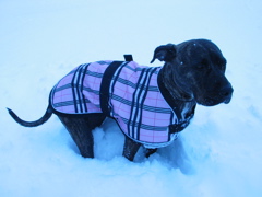 Ok, I really don't like cold paws. 