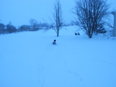 WEEEE!  It is fun to run in!