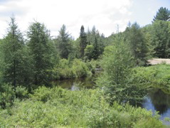 IMG_2447.JPG