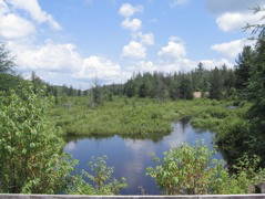 IMG_2448.JPG