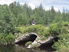 IMG_2450.JPG