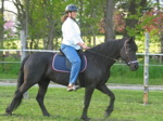 IMG_3680.JPG