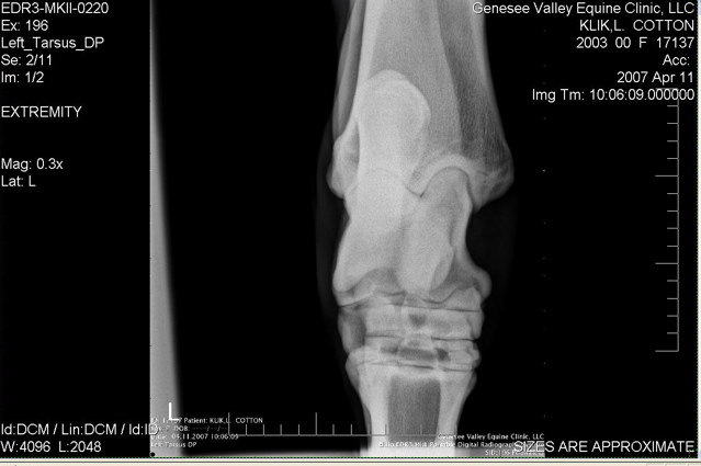 Xray_1