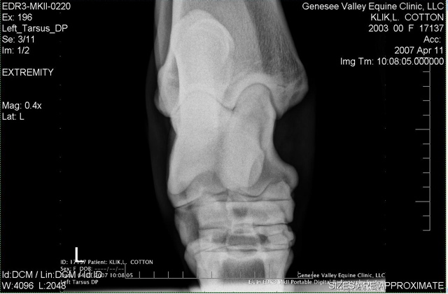 Xray_2
