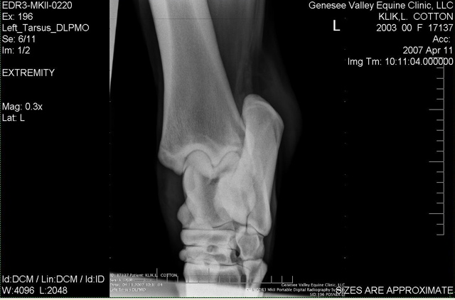 Xray_4