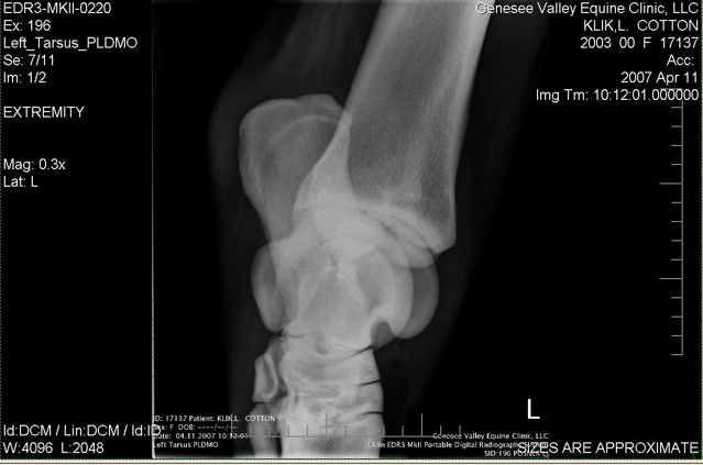 Xray_5