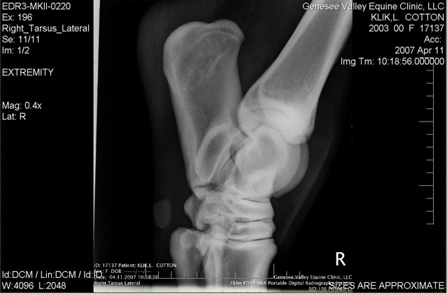 Xray_7