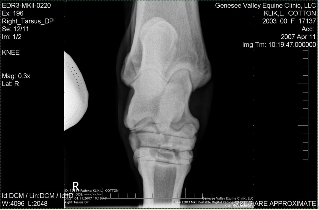 Xray_8