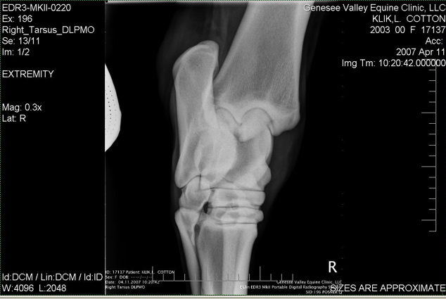 Xray_9