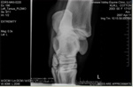 Xray_6