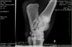 Xray_7