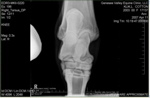 Xray_8