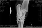 Xray_9