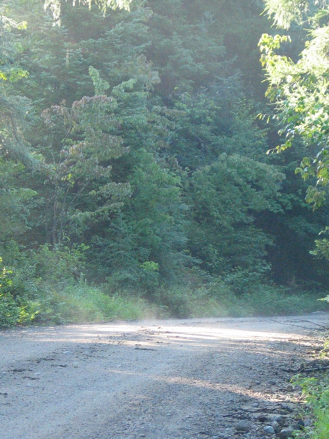 Anywhere the sun hit the ground steamed