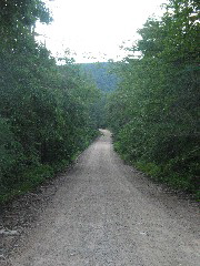 Nothing that way.