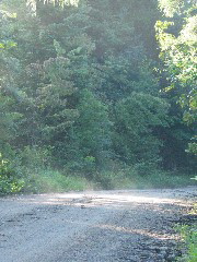 Anywhere the sun hit the ground steamed