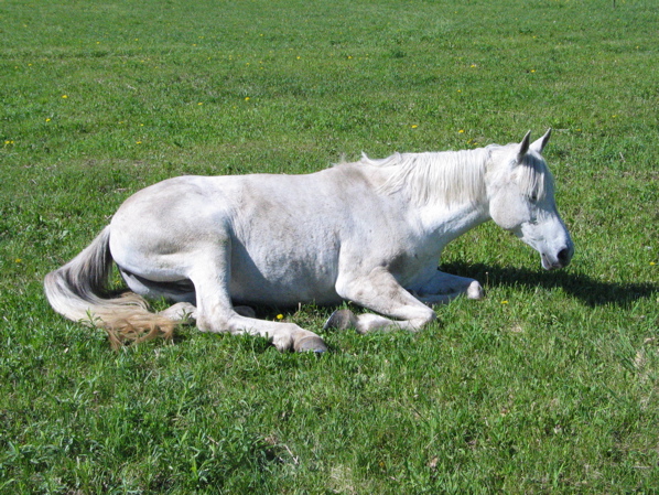 IMG_3334.JPG