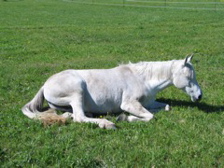 IMG_3335.JPG