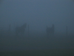 IMG_3796.JPG