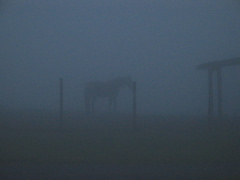 IMG_3798.JPG