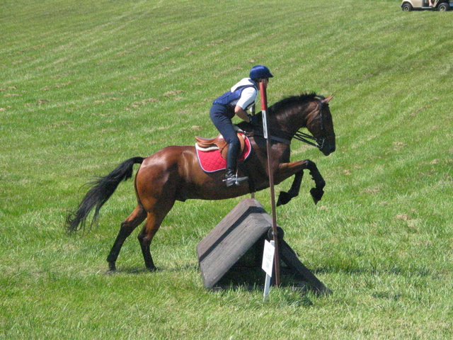 IMG_3196.JPG