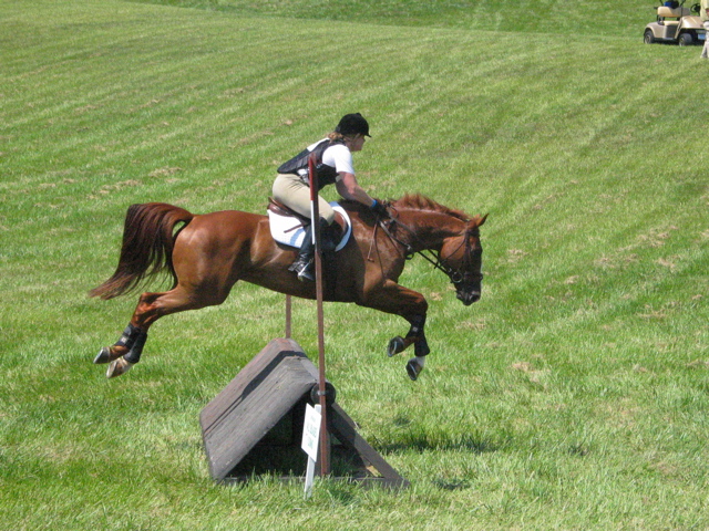 IMG_3184.JPG