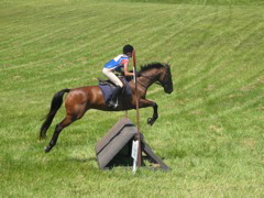 IMG_3179.JPG