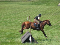 IMG_3180.JPG