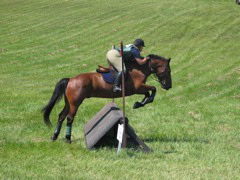 IMG_3189.JPG