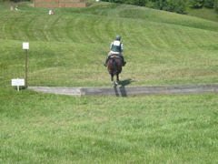 IMG_3193.JPG