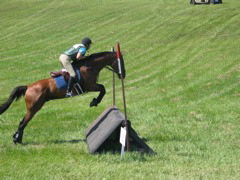 IMG_3195.JPG