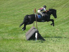 IMG_3198.JPG
