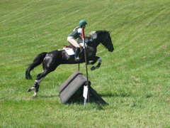 IMG_3203.JPG