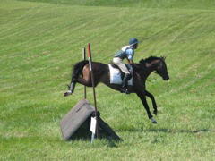 IMG_3205.JPG