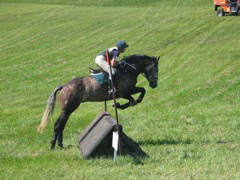 IMG_3208.JPG