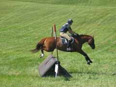 IMG_3209.JPG