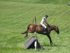 IMG_3182.JPG