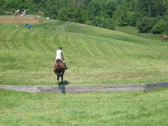 IMG_3183.JPG