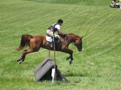 IMG_3184.JPG