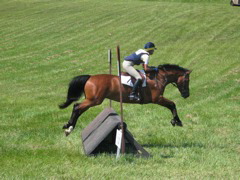 IMG_3186.JPG