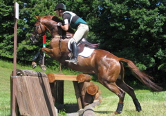 IMG_3994