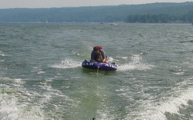Go, Nubbie go!