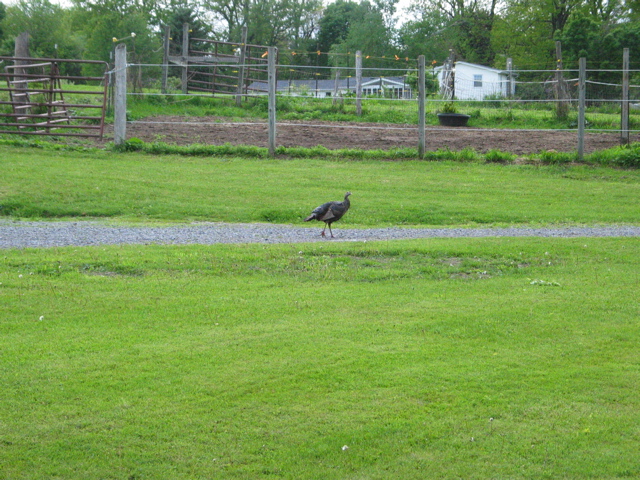IMG_3358.JPG