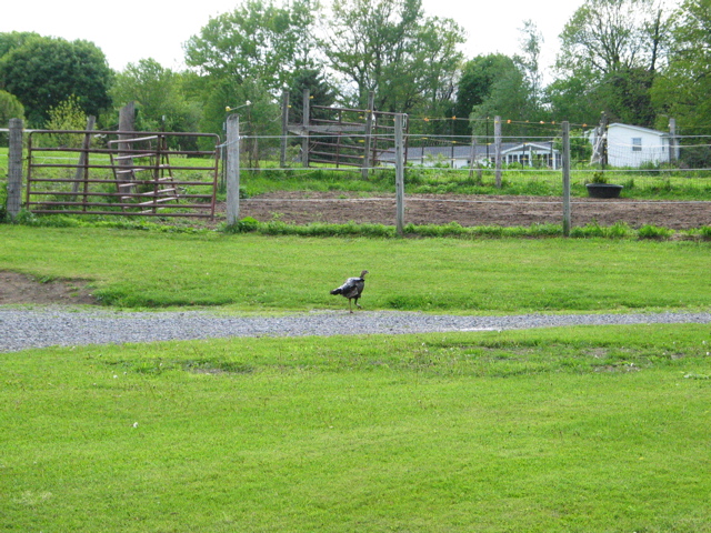 IMG_3360.JPG