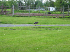 IMG_3358.JPG