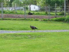 IMG_3359.JPG