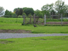IMG_3361.JPG